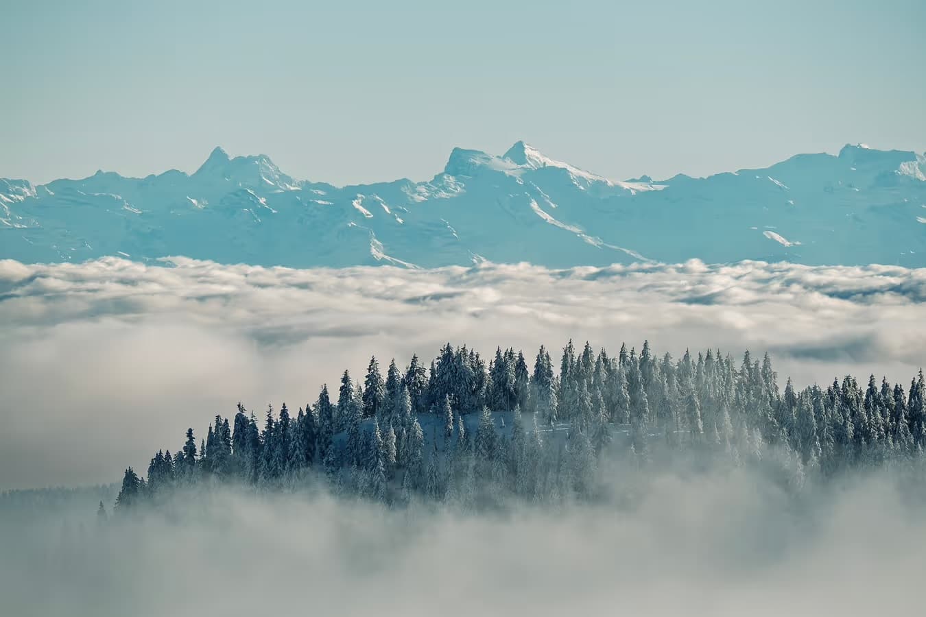 Alpenblick Ausflugsziel nahe St. Blasien im Hochschwarzwald