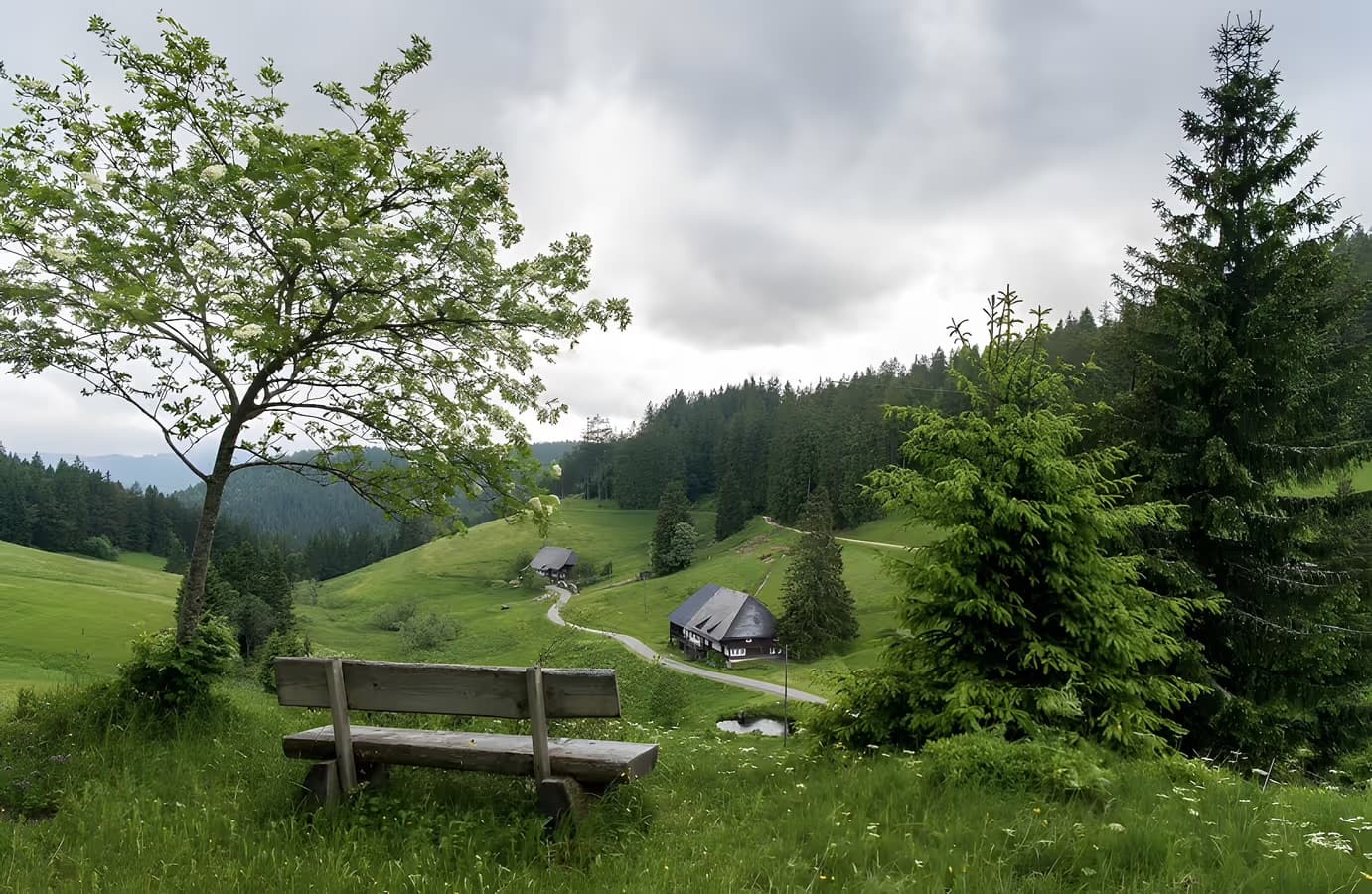 Wandern Ausflugsziel nahe St. Blasien im Hochschwarzwald